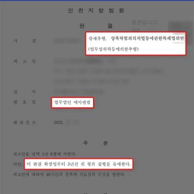 업무상 위력에 의한 강제추행, 집행유예 선처